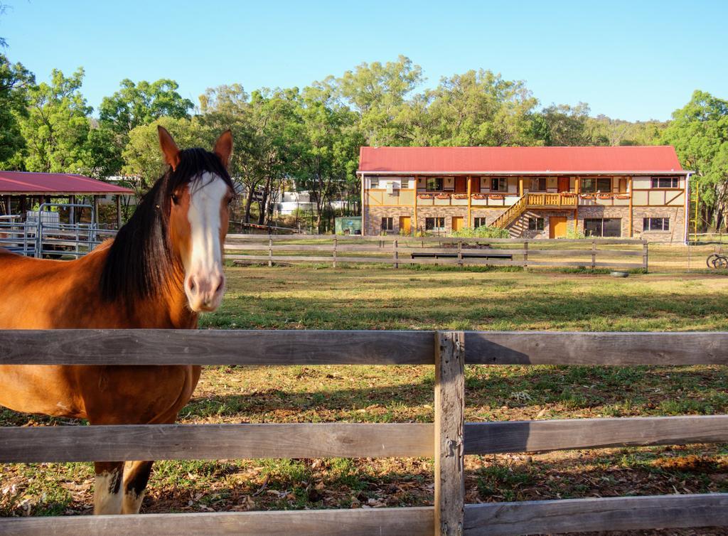 Pilliga Pottery Creative Farmstay Coonabarabran Pokoj fotografie